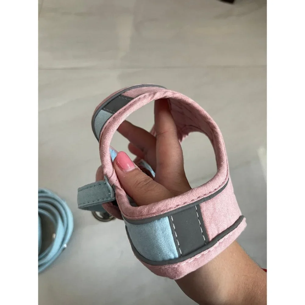 Custom pet harness with leash